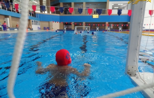 Соревнования по водному поло